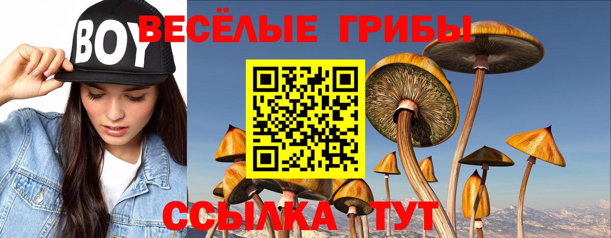 Лениногорск  Псилоцибиновые грибы ЛСД  Вход с VPN 