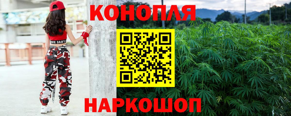 Марихуана семена Лениногорск